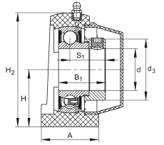 直立式軸承座單元 PSHE30-TV-FA125.5, 塑料軸承座，帶偏心鎖圈的外球面球軸承，帶 Corrotect? 涂層，P型密封