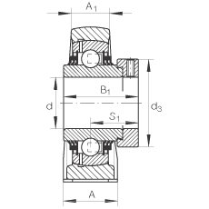 直立式軸承座單元 TSHE45, 鑄鐵軸承座，帶偏心鎖圈的外球面球軸承，T 型密封